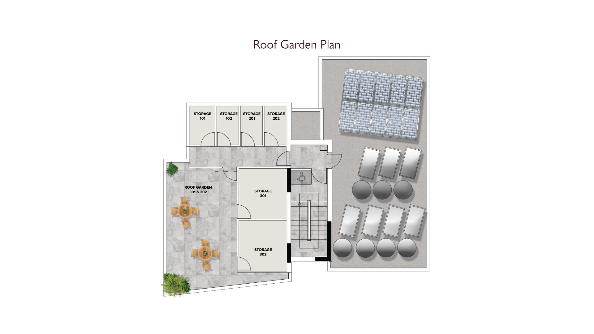 Roof Garden
